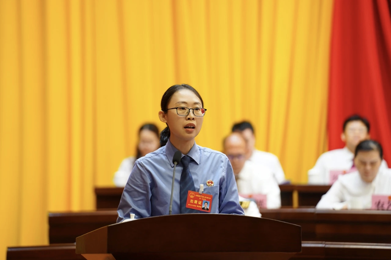 聚焦两会丨大新县人民检察院五年工作报告